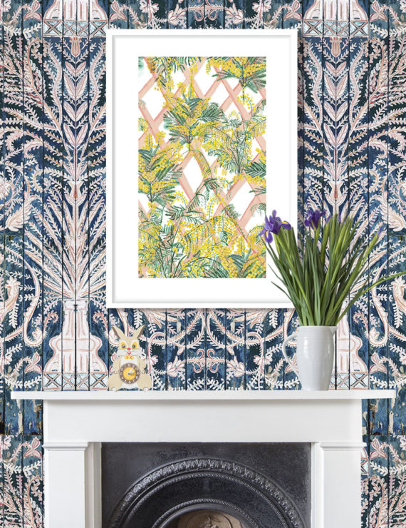 MIMOSA SIGNED GICLEE PRINT