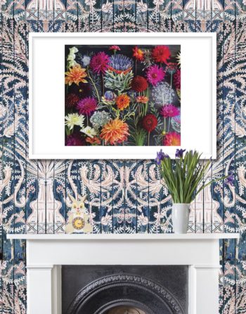DAZZLING DAHLIAS SIGNED GICLEE PRINT