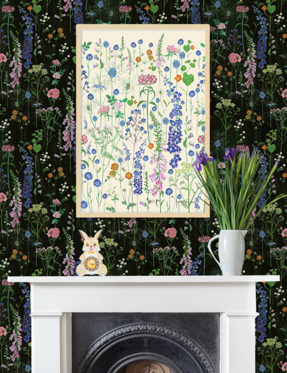 Cornflower Signed Giclee Print