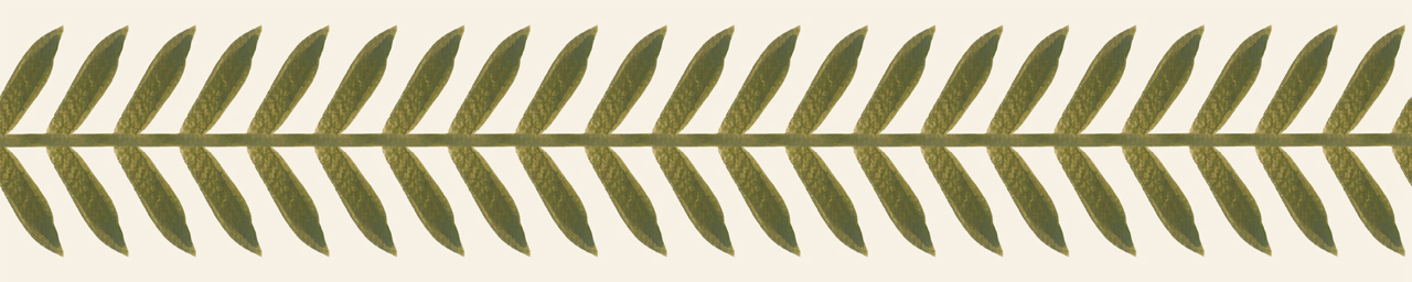 Stem Wallpaper Border (Leaf Green) 10m